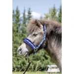 CAPEZZA FLUFFY PONY-SHETTY "CUORICINI" Capezze Nylon 